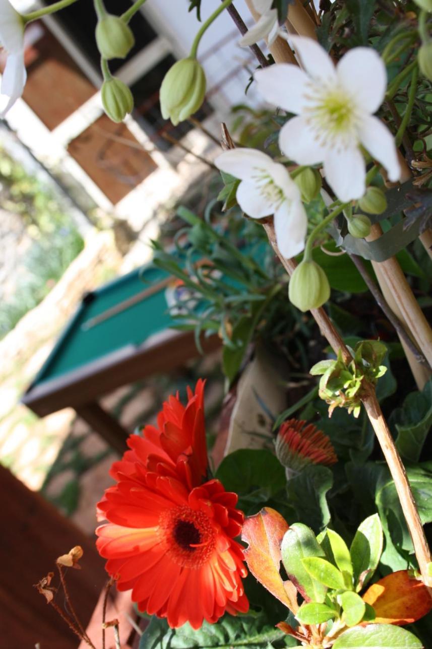 Bed and Breakfast La Cascata Noci Zewnętrze zdjęcie
