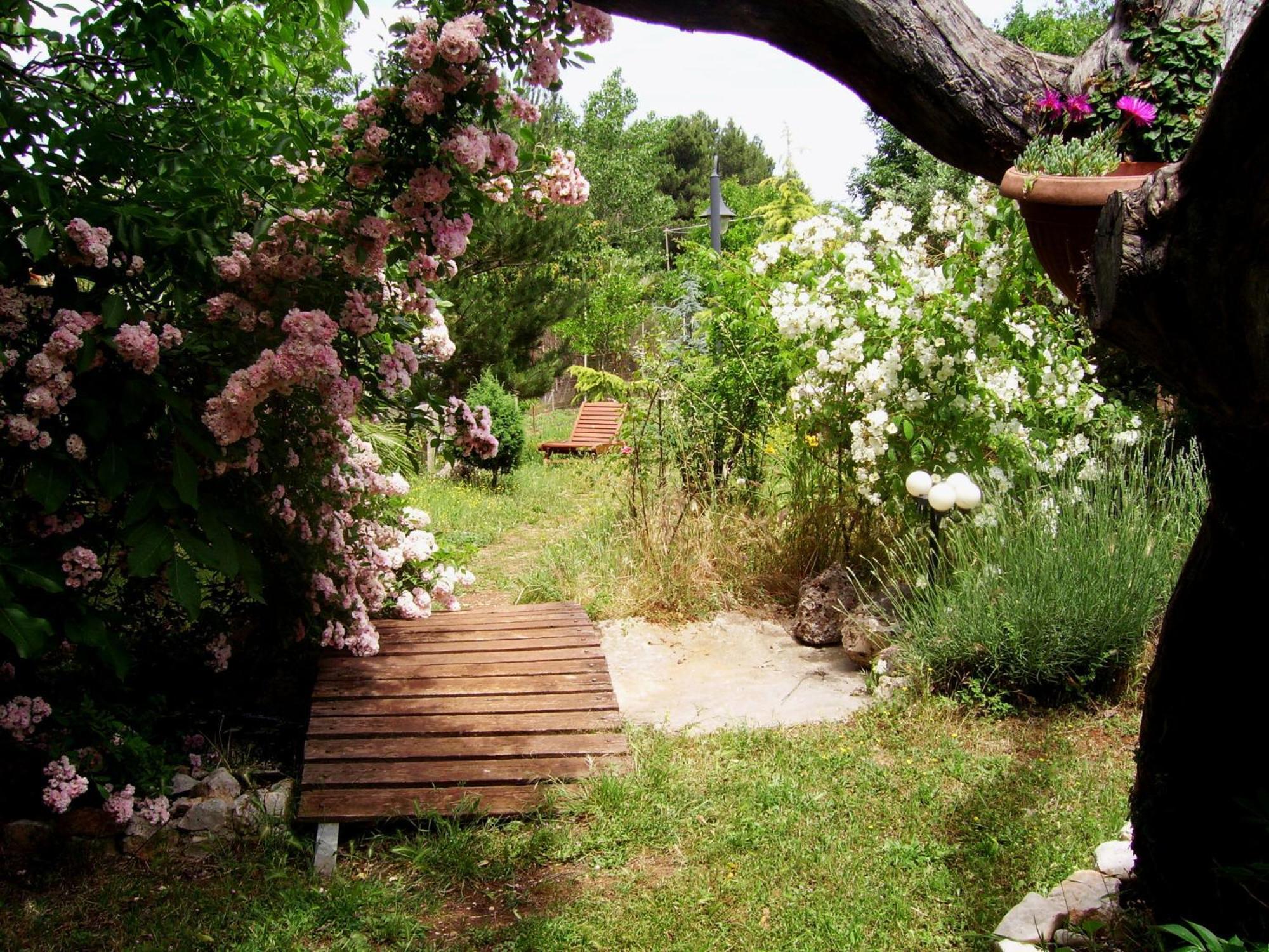 Bed and Breakfast La Cascata Noci Zewnętrze zdjęcie