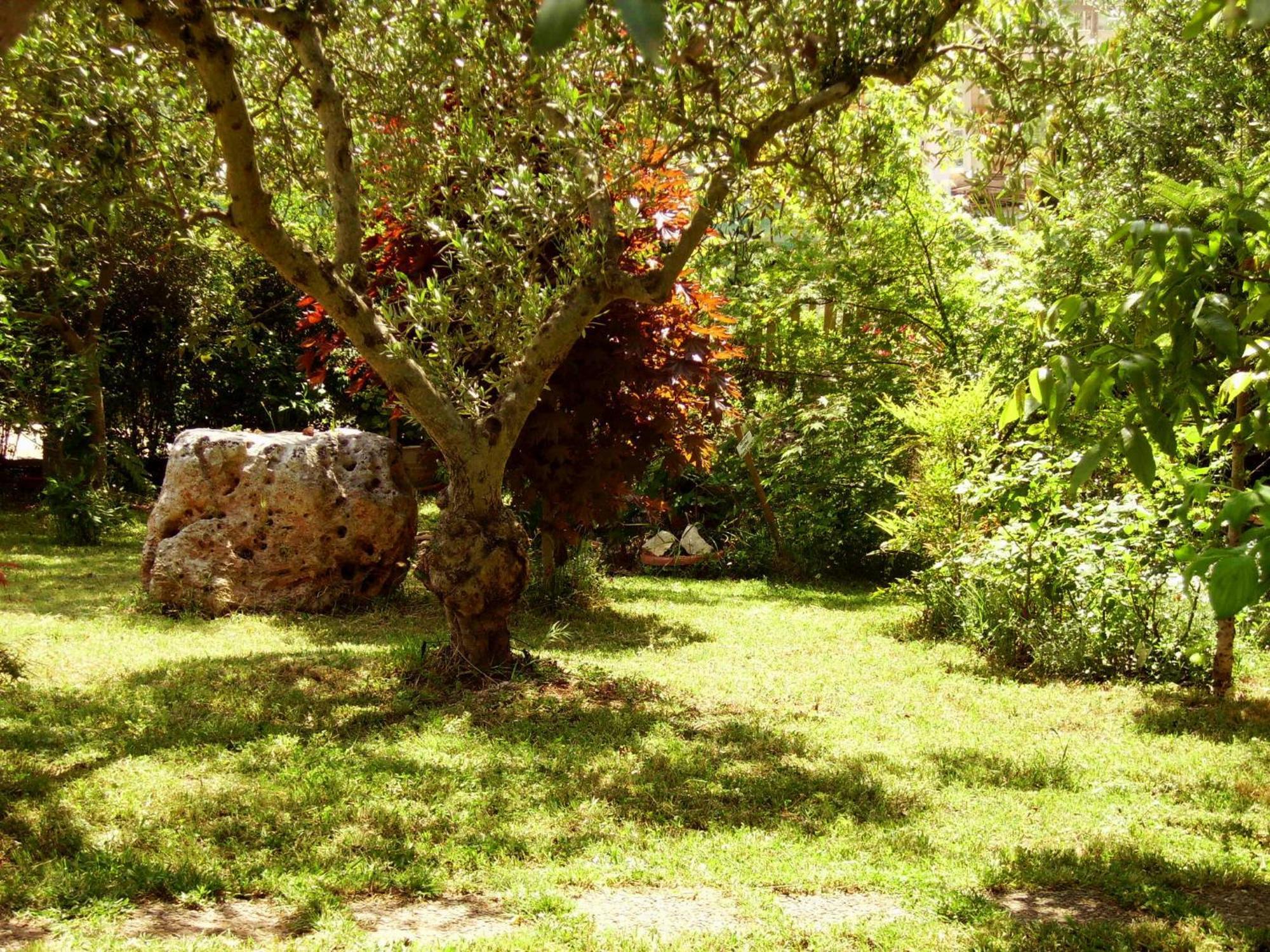 Bed and Breakfast La Cascata Noci Zewnętrze zdjęcie